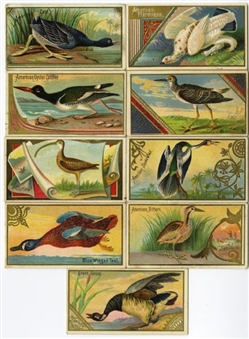 1889 N13 Allen & Ginter "Game Birds" Near Set (41/50)